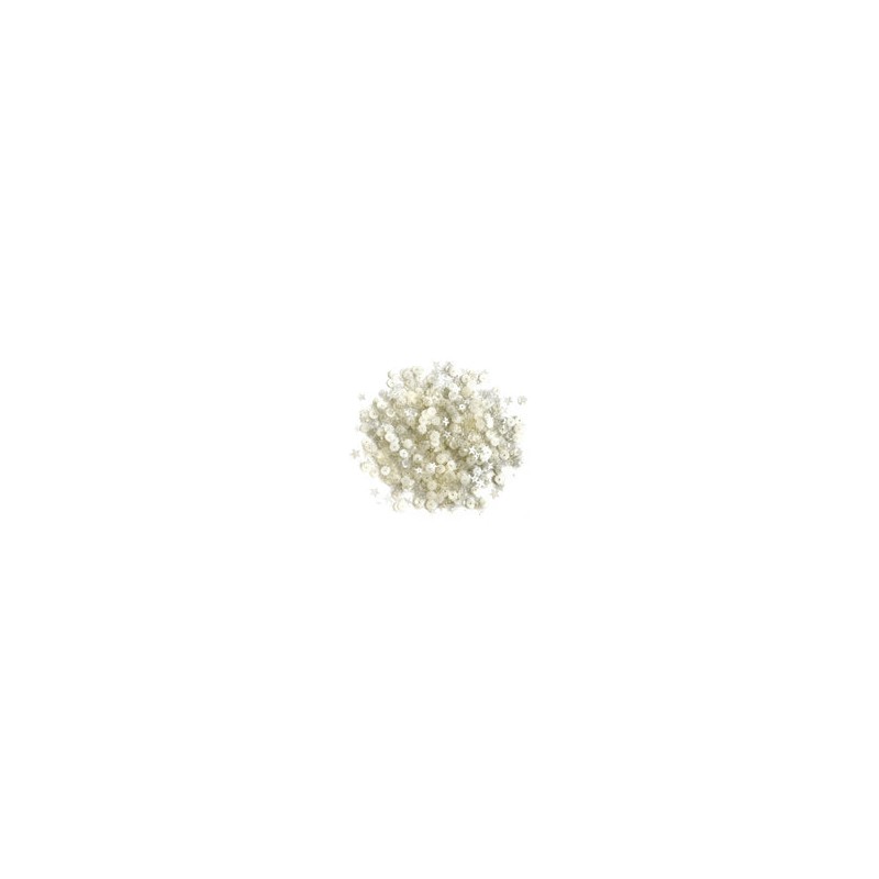 28 Lilac Lane Sequins North Star Tin / Lentejuelas de Estrellas Blancas