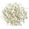 28 Lilac Lane Sequins North Star Tin / Lentejuelas de Estrellas Blancas